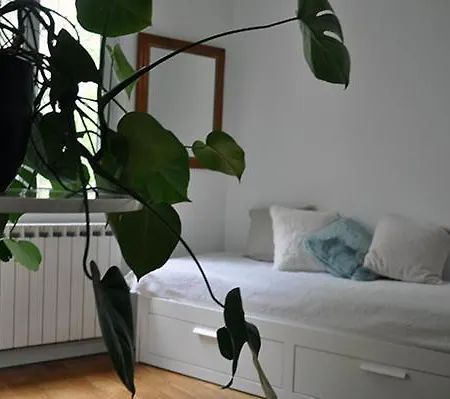 Dans Le Coeur De